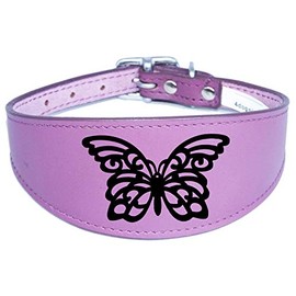 Dog Collar Leather Greyhound Collar Whippet Collar Padded Backing Laser Engraved D14 (17-21 Inch (43cm-53cm), Purple)