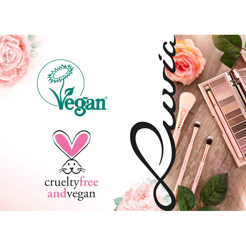 Essential Brushes Highlighter & Contour Brush