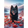 Schipperke - Best of Breed DCR Winter Berries Garden Flag