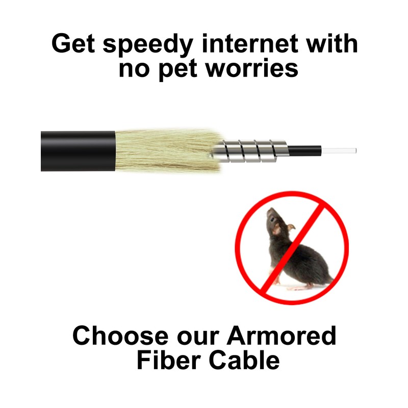 35M/114ft SC/APC Fiber Optic Internet Cable Extension, SC/APC to SC/APC