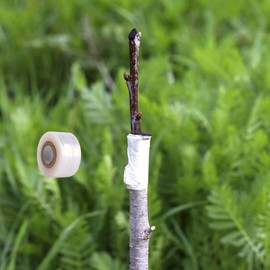 damotec Grafting Tape, Plant Repair Budding Tape, Garden Nursery Moisture Barrier Stretchable Film, Grafting Tape for Fruit Trees, for Fruit, Floral and Tree, 492FT * 5Pack (5)