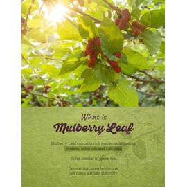 [7.05oz] Farmer Queen Korea Pure 100% Dried Mulberry Leaf Powder 상엽분말/뽕잎분말