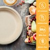 100% Compostable Disposable Paper Plates Bulk [9" 125 Pack], Bamboo