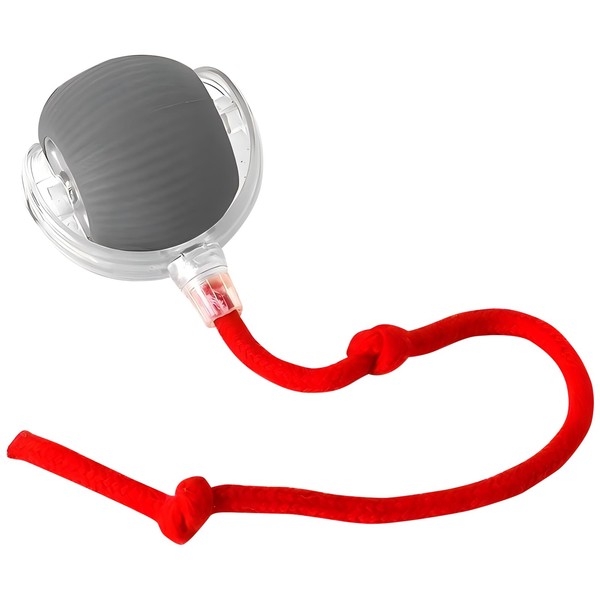 Smart Rolling Ball for Dogs and Cats - Automatic Pet