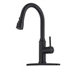 Matte Black Kitchen Faucet with Pull Down Spayer Arofa Single