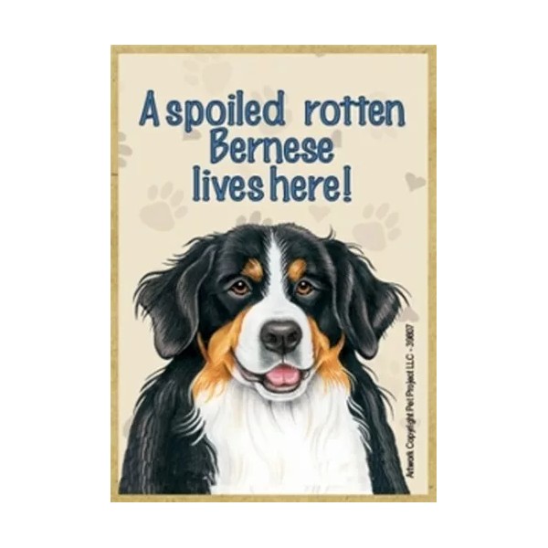 A spoiled rotten Bernese lives here! Wood Fridge Locker Dog