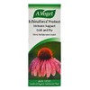 A.Vogel Organic Echinaforce Protect Immune Support Cold and Flu 100ml