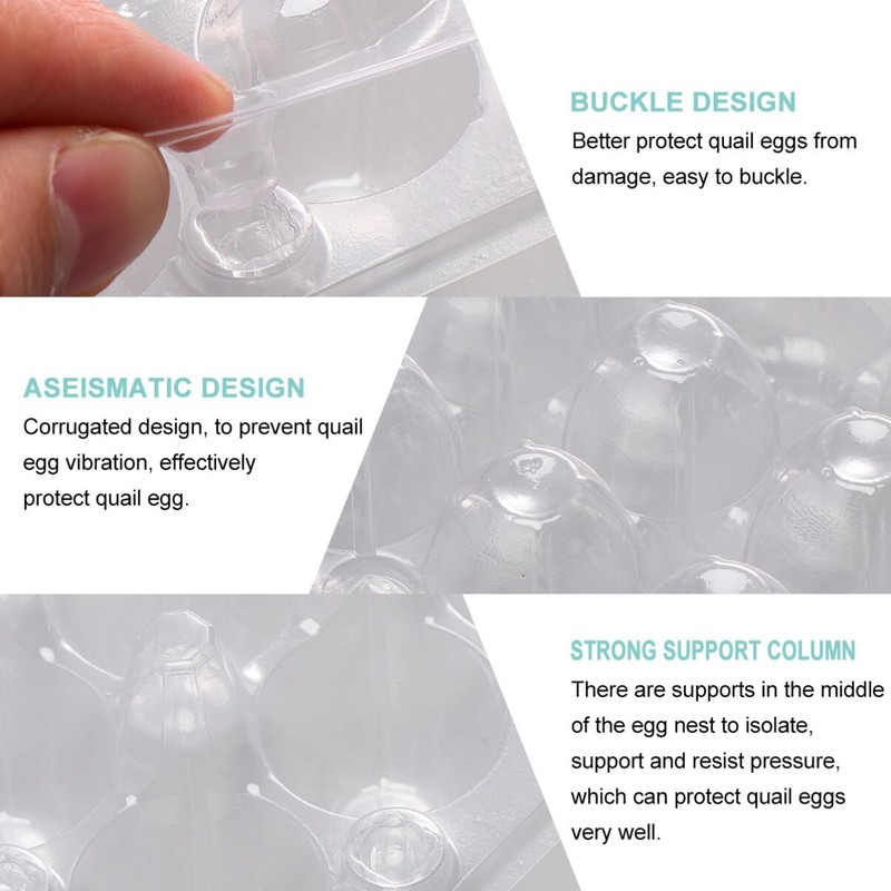 Cabilock Pack of 12 24 Egg Boxes Quail Eggs Transparent