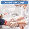 RAP Gloves Clear Vinyl Disposable Examination Gloves Latex-Free Powder-Free Examination