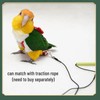 Bird Flight Suits Diapers, Parrot Flight Suits Diapers for Monk