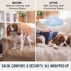 Anxiety Relief & Calming Thunder Vest for Dogs – Drug-Free