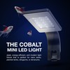 Cobalt Aquatics Freshwater Mini LED Light - 6500K, 6W, Black