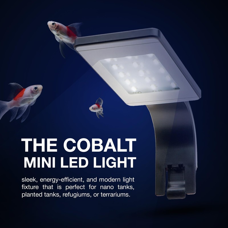Cobalt Aquatics Freshwater Mini LED Light - 6500K, 6W, Black