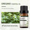 Oregano Essential Oil 10ml, 100% Pure Organic Diffuser Oils for