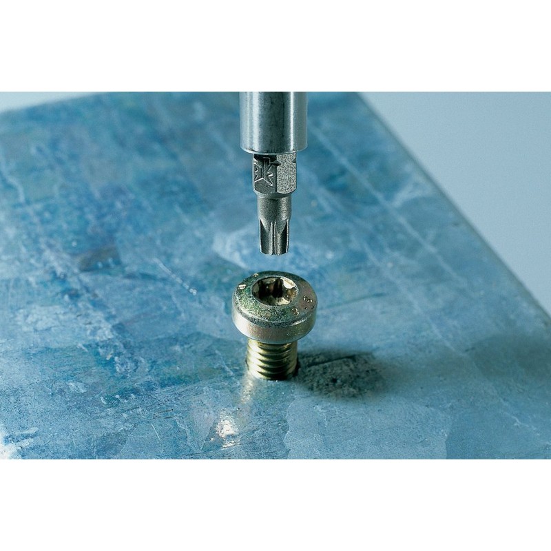 wolfcraft Bits Solid, TORX® (T 25) I 2478000 I Solid