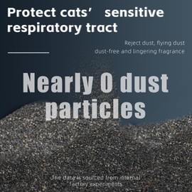 Natural Sodium-Based Raw Mineral Cat Litter | Dust-Free, Ultra Absorbent, Odor Control | Eco-Friendly, Low Tracking, Clumping Cat Litter 9.9LBS (9.9LBS_Black Diamond)