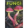 Field Guide to Australian Fungi