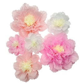 Mybbshower Blush Pink Paper Flower for Baby Girl Nursery Room Birthday Baby Shower Party Backdrop Wall Decoration Pink Tissue Pom Poms(20''-10'' Assorted) Pack of 6