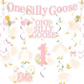 One Silly Goose Party Decorations for 1st Girls First Birthday Banner and Hanging Swirl Decorations Pink Goose Party Supplies for Baby Girl 1st Birthday Photo Backdrop Party Decor