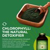 HEALTHFORCE SUPERFOODS Chlorella Manna - Powder - 350 Grams