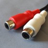 3.5 mm sutereominizyakku (Female) to RCA/Pin Jack X 2 (Red,
