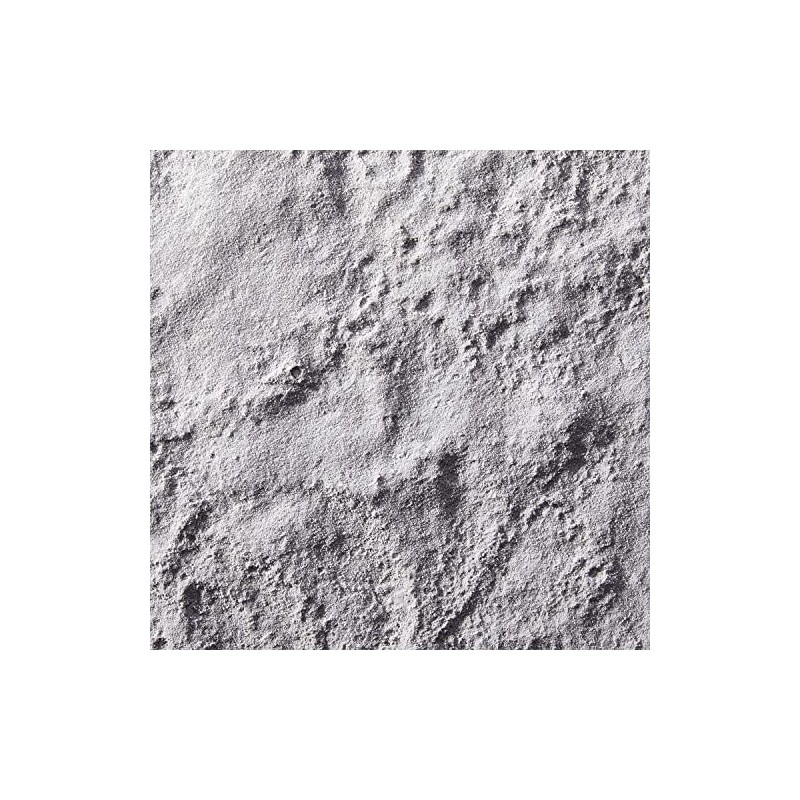 Ion 10 Level Charcoal Flash Lightener 16oz