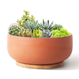 SQOWL Terracotta Planter Pot for Succulent 8 Inch Pottery Pot Round Planter Cactus Clay Flower Pot with Drain Hole and Bamboo Tray Indoor Outdoor