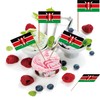 Kenya Toothpick Flag Republic of Kenya Small Mini Cocktail Fruit