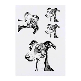 4 x 'Whippet Dog' Temporary Tattoos - Water Resistant, Skin-Safe, Non-Toxic Transfers, Mixed Sizes (TO00080728)