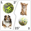 Cian 2Pack Dog Ball Toys for Aggressive Chewers, Bite Resistant