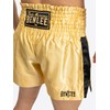 BENLEE Rocky Marciano Goldy Pantaloni da Boxe, Oro/Nero, S Uomo