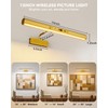 Skairipa 13" Rechargeable Picture Light for Wall with Remote, Gold