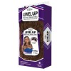 SNG Freetress Equal Synthetic LEVEL UP HD Lace Front Wig