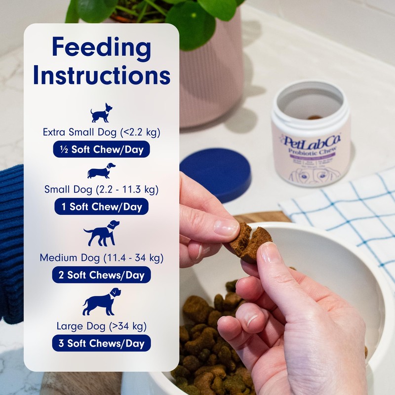 PetLab Co. Probiotic Support Chews – Daily Probiotic Supplements For