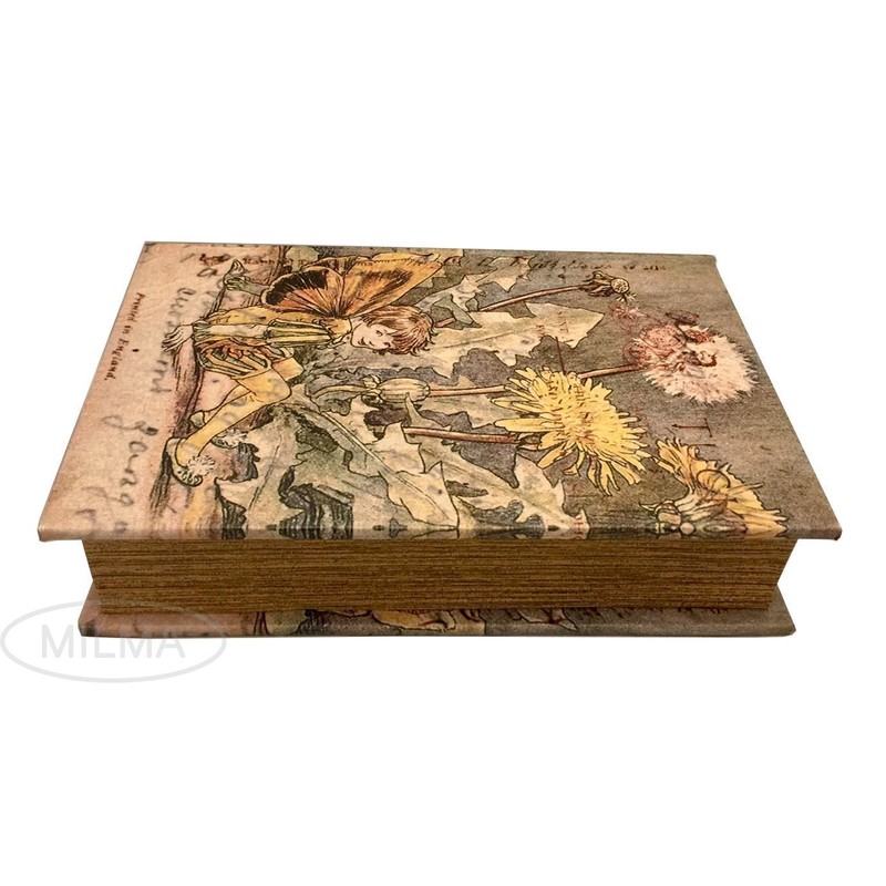 Vintage Fairy Book Box Leather Over Wood Secret Storage Box