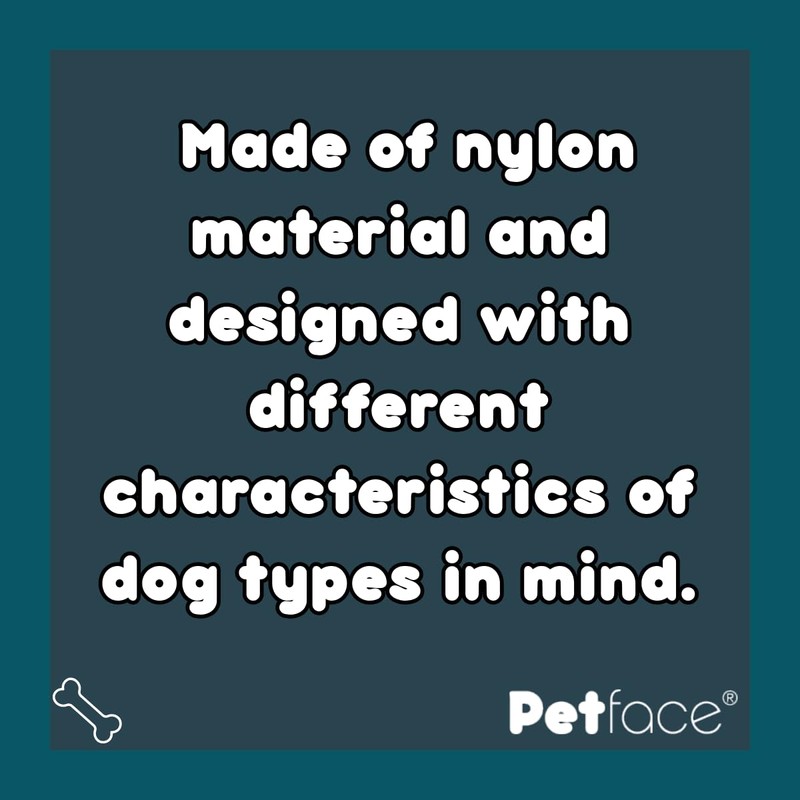 Petface Scarlet Stripe Spot Dog Lead, Medium