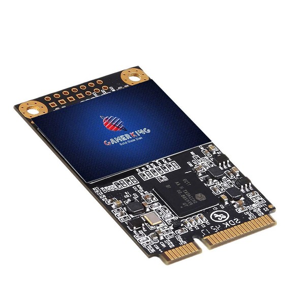 Gamerking SSD msata 256GB Internal Solid State Drive High Performance