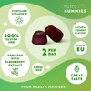 Immune Support Gummies - Elderberry Extract (4500mg Equivalent), Vitamin D