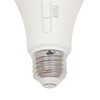Westinghouse Lighting 5346000 15 Watt (100 Watt Equivalent) Omni A19