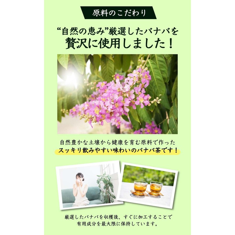 Natural Feast Banaba Tea Bags Caffeinated Health Tea (60 Packs)