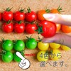Food Sample Magnet, Mini Tomatoes (Orange), 242 OM
