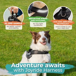 Joyride Harness for Small, Medium, Large Dogs, No-Pull Pet Harness with 3 Side Rings for Leash Placement, Adjustable Soft-Padded Vest for Training, Walking, Running, No-Choke Easy On-Off Technology