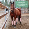 Bulyoou Set of 8 Mesh Fly Boots for Horse Breathable