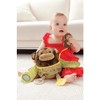 Skip Hop Hug and Hide Activity Toy - Oso (discontinuado