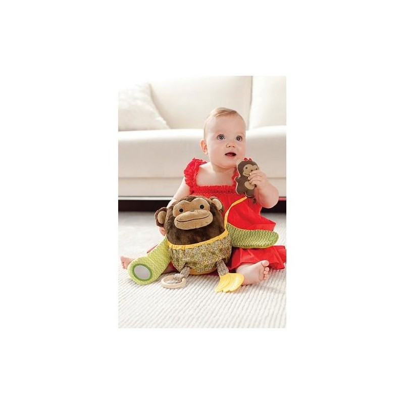 Skip Hop Hug and Hide Activity Toy - Oso (discontinuado