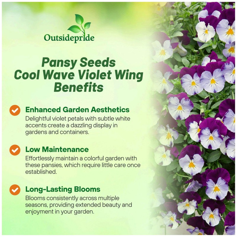 Outsidepride Cool Wave Violet Wing Viola Pansy Seeds for Planting