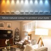 SuperlightingLED RGBW COB LED Strip 24V RGB+4000K Natural White Dimmable