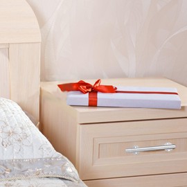 Natudeco Door Handle, Stainless Steel Column-Shaped Sliding Door Handle, Cylindrical Door Handle, Cabinet Drawer Wardrobe Handle, Furniture Hardware Accessories