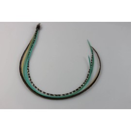 Sexy Sparkles 5 Genuine 8-10 Turquoise,brow