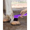 KGDUYC Pack of 2 Horse Head Hoof Picks - Hoof
